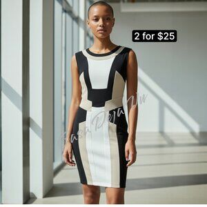 Striking Geometric Color Block Fitted Contempory Sleeveless Midi Dress